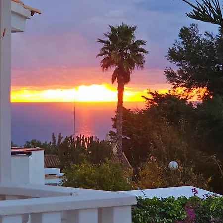 Blue Dream 100 Gran Alacant