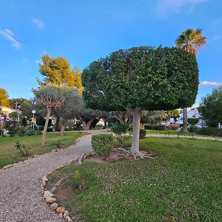 Apartment Blue Dream 100 Gran Alacant