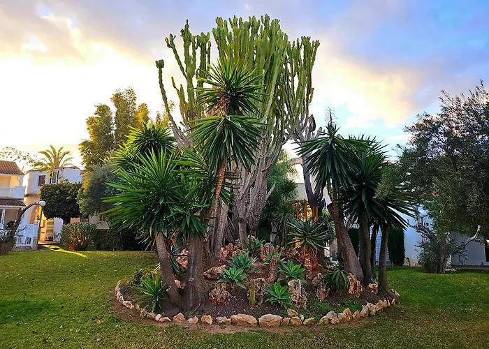 Blue Dream 100 Gran Alacant