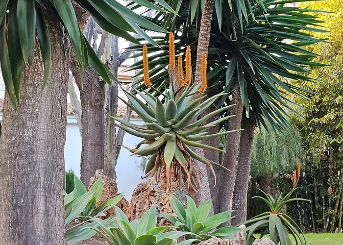 Apartmán Blue Dream 100