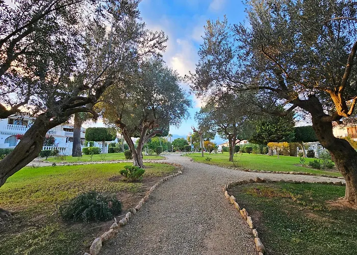 Blue Dream 100 Gran Alacant