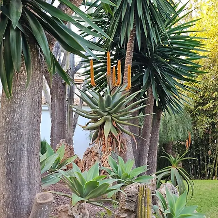 Appartement Blue Dream 100