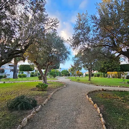 Blue Dream 100 グラン・アラカント